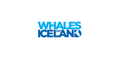 Whales of Iceland